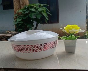 Beautiful  White Kitchen Use