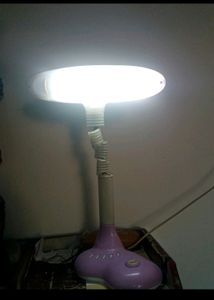 Study Lamp In Working Condition