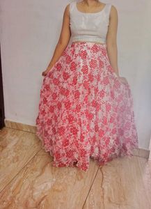 Organza Skirt And Top