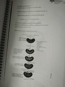 Pathology Vol 1 And 2  MARROW Edition 6