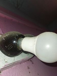 Max LED Light