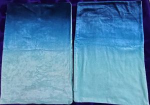 Velvet Pillow Cover(2)