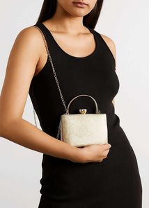 Elegant Clutch with Chain