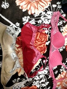 DAILY WEAR BRAS