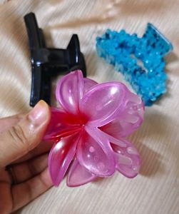 Hair Claw Clutcher Set