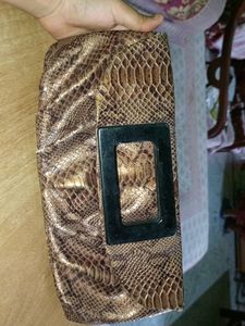 Snake Print Clutch