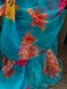 Flare Saree