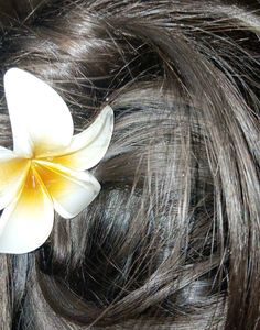 White Flower Hair Clip