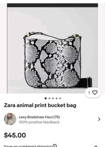 Zara Snake Print Bag