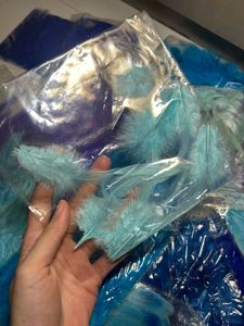 20 Packet Blue Colour Shade Feathers
