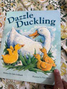 Children&#39;s Book Bundle - 12 Books