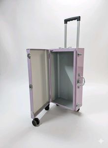 Stylish carry on Trolley bag