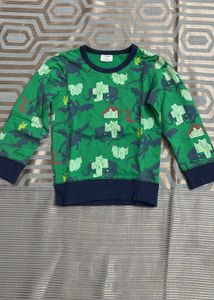 Boys Green Dragon Sweatshirt