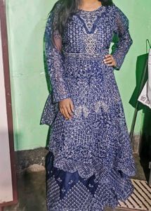 Pakistani Elegant Navy Blue Ethnic Gown