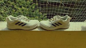 Adidas Shoe
