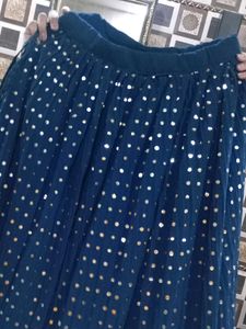 Navy Blue Lehanga Choli