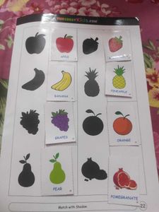 Kids Matching Shadow Fruit Activity