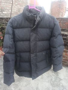 Puffer Jacket For Men