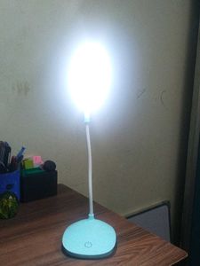 Modern LED Desk Lamp