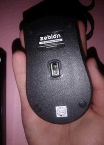 Mouse