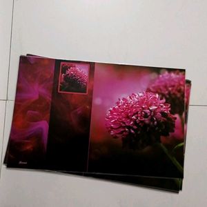 2 Side Dinning Table Mats Set Of 6+ 6 Coasters