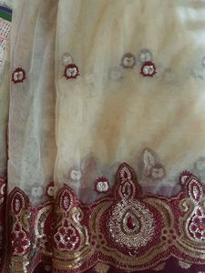 Elegant Embellished Saree
