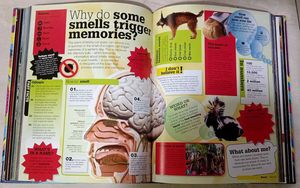 Know It All Book