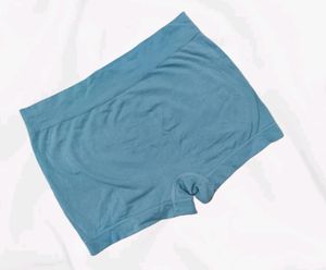 Seamless Boyleg