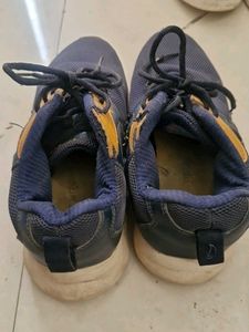 CAMPUS SPORTS SHOE