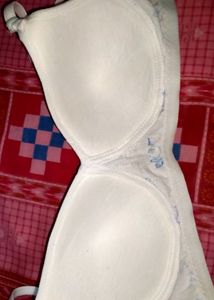 Printed Cotton Briefs