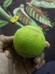 Tennis Ball