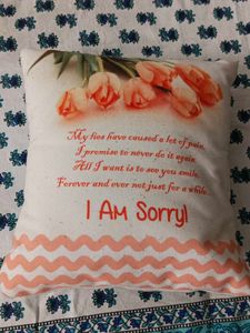 I Am Sorry Pillow | Small Cushion