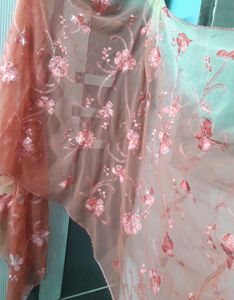 Embroidery Dupatta + Tints