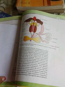 Biology Books