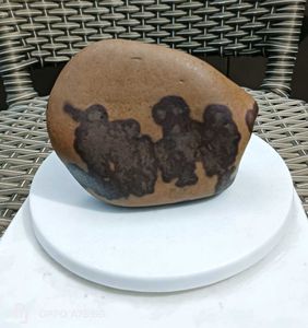 Unique Decorative Narmada Rock