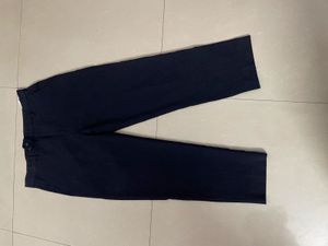 Striped Dress Pants