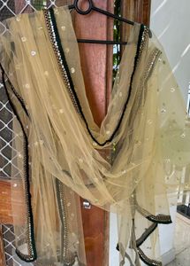 Embellished Dupatta