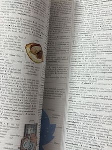 Illustrated Oxford Dictionary