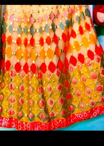 Women Butterfly Lehenga Choli Same As Picture