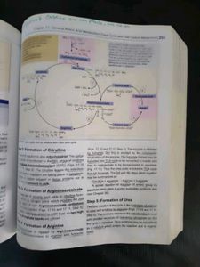 Biochemistry Textbook