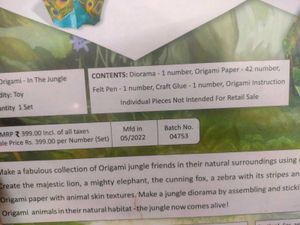 Origami In The Jungle Craft Kit
