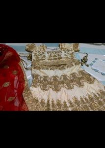 Elegant Lehenga Choli Set