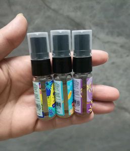 Plum Combo Of 3