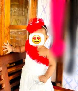 Adorable Baby Girl Dress