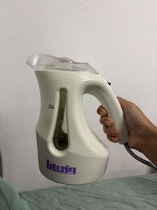 Steam Iron