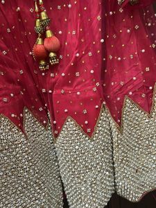 Elegant Pink Lehenga Choli Set