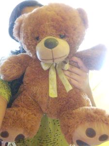 Brown Teddy Bear
