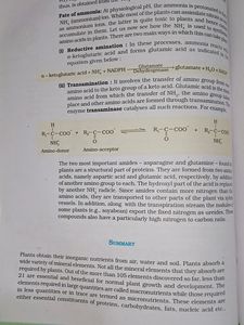 NCERT BIOLOGY TEXTBOOK FOR 11th CLASS