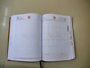 PNB 2026 Diary - Brand New