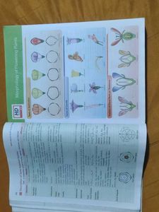 Objective NCERT Biology Class XI+XII